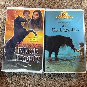 American Black Beauty Kids Toy Set